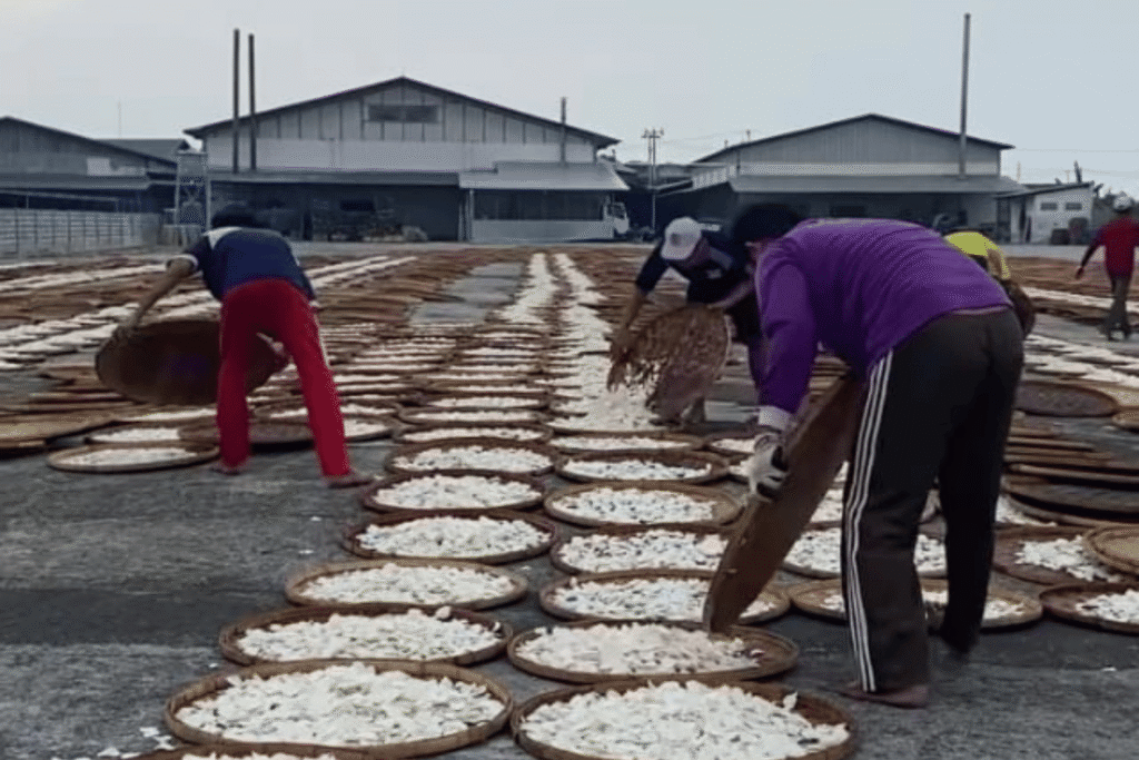 Kerupuk Udang HG Hilham Gemilang dalam Mensejahterakan Karyawan