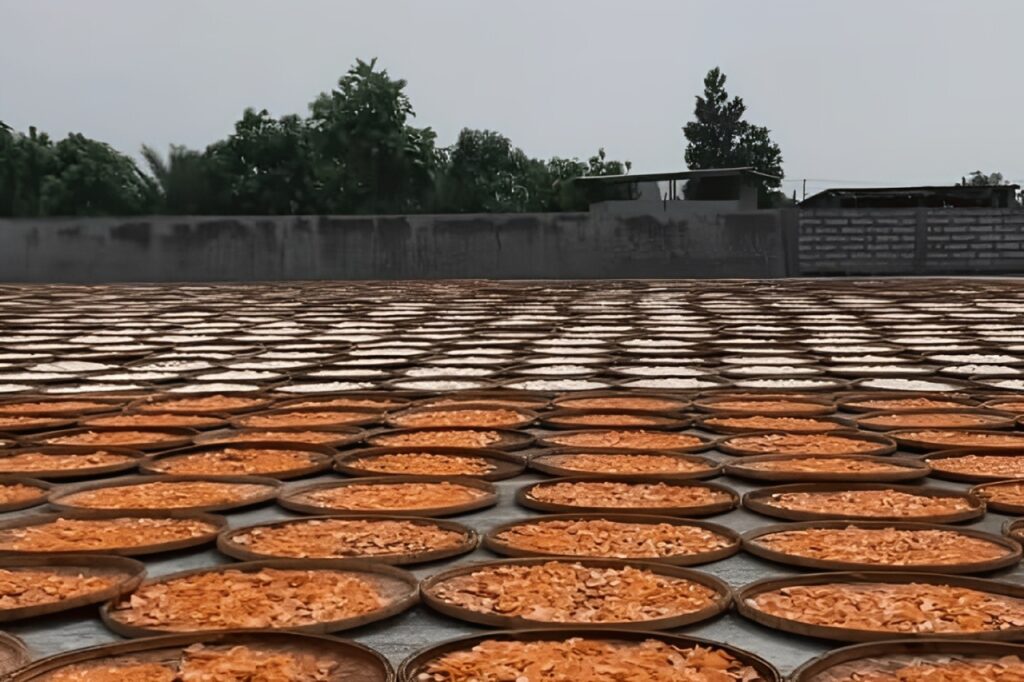 Kerupuk Udang HG Hilham Gemilang: Sehat, Gurih, dan Variatif